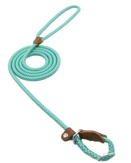 Nylon Pup Set – Dog Collar, Leash & Harness Bundle