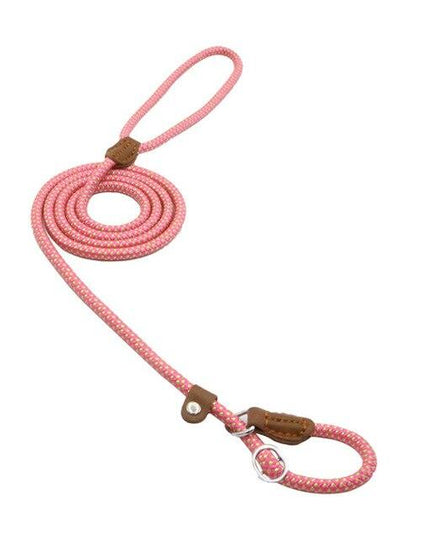 Nylon Pup Set – Dog Collar, Leash & Harness Bundle