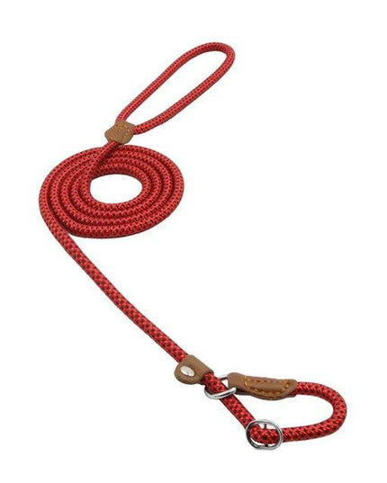 Nylon Pup Set – Dog Collar, Leash & Harness Bundle