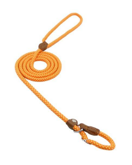 Nylon Pup Set – Dog Collar, Leash & Harness Bundle