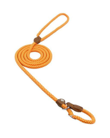Nylon Pup Set – Dog Collar, Leash & Harness Bundle