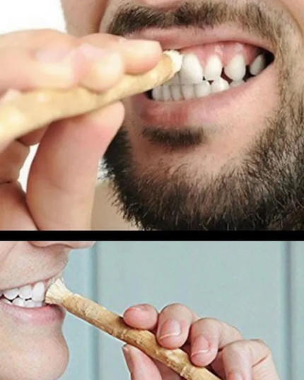 Miswak Tooth Cleaning Stick – Natural Teeth Cleaner